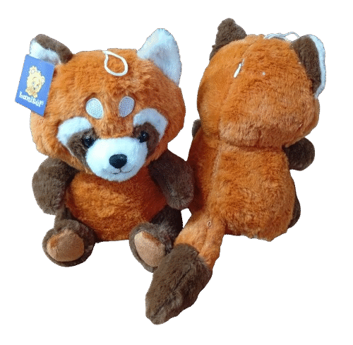 Rapoza 24cm