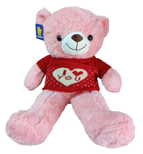Urso 50cm com Camisa