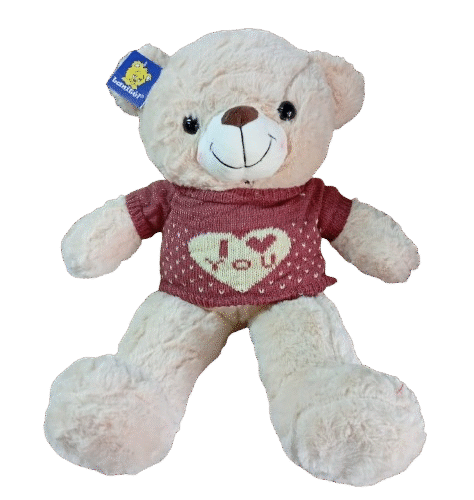 Urso 50cm com Camisa