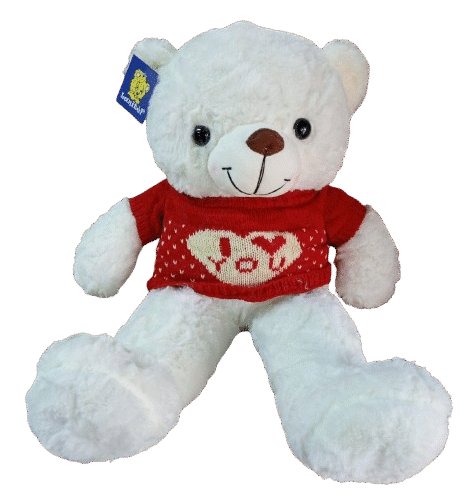 Urso 50cm com Camisa