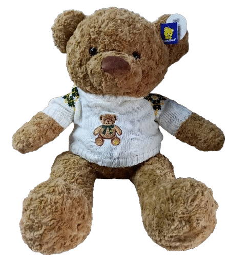 Urso 60cm com Camisa
